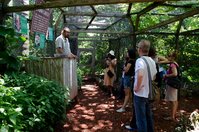 Staff are amazingly knowledgeable; this is something of a career for them. Photo © 2013 Aaron Saunders