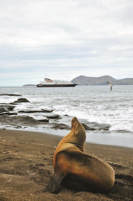 Join us in the Galapagos in Novembe for a very special Live Voyage Report! Photo courtesy of Silversea Cruises
