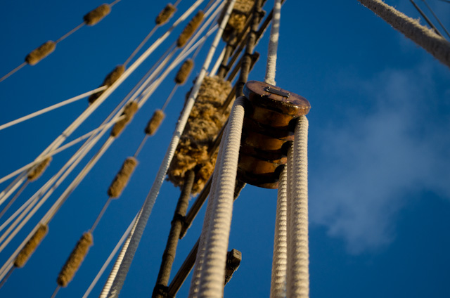 Tomorrow, these lines will hoist Zodiac's mainsail, the largest such one on the West Coast. Photo © 2013 Aaron Saunders