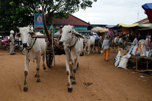 As I discovered today, the on-shore experiences that AmaWaterways has put together in Cambodia are unique, educational and enlightening. Photo © 2013 Aaron Saunders