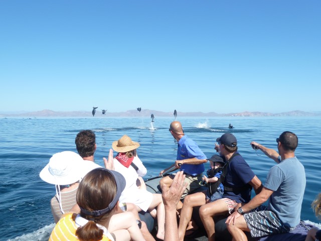 Photo courtesy of Un-Cruise Adventures.