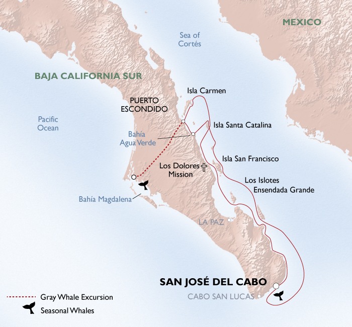 Illustration courtesy of Un-Cruise Adventures.