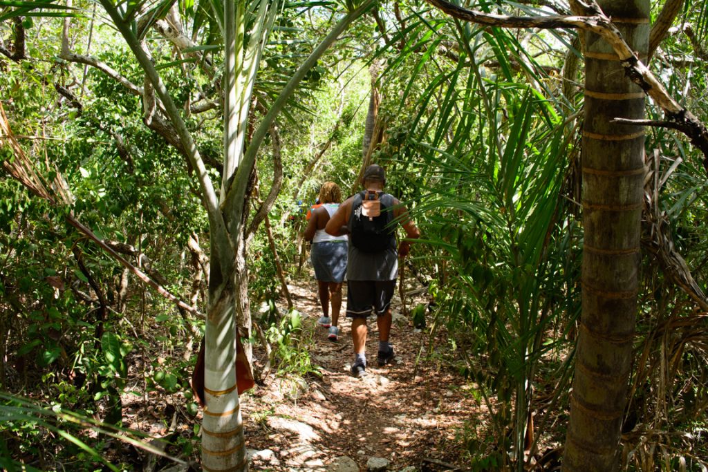 The biggest challenge on the hike wasn't the terrain, but the heat, which seemed to rise 10 degrees inside the forest canopy. Bring plenty of water! Photo © 2016 Aaron Saunders